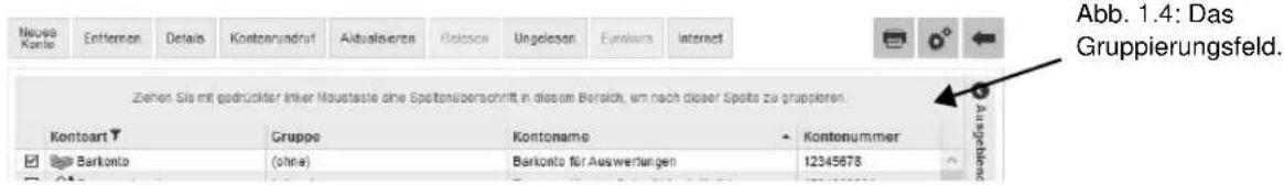 StarMoney 10.0 - Gruppierungsfeld anzeigen - 1
