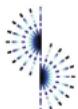 Skylane Optics SPP13010100D258 - Datasheet SPP1301010xD - 1
