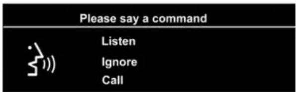 Please say a command Listen Ignore Call