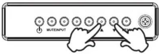 MUTEINPUT MENU
