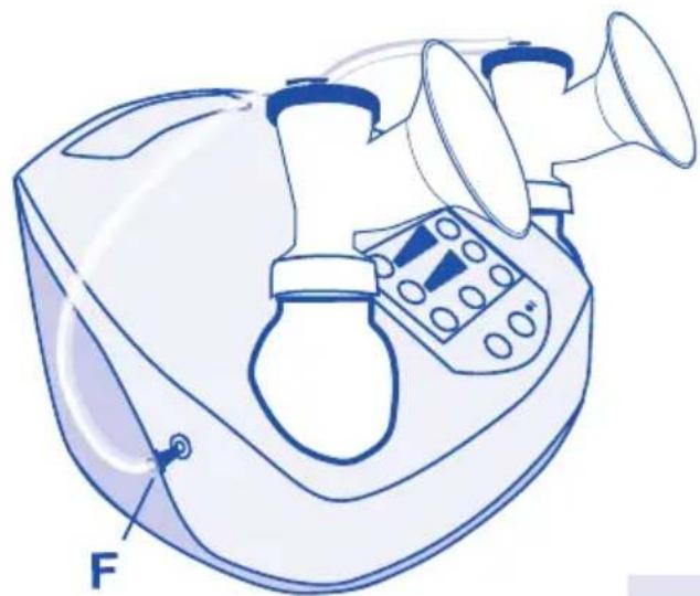 Baby Frank Grosse Sanfte - Elektromagnetische Umgebung - Leitlinien - 2
