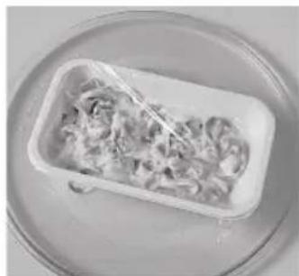 PANASONIC NN-SD261 - Reheat Chilled Meal 200g - 800g - 1