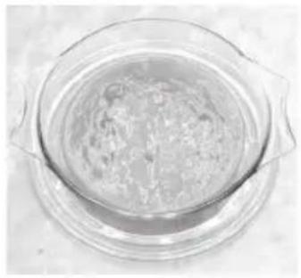 PANASONIC NN-SD261 - Reheat Chilled Soup 150g - 600g - 1
