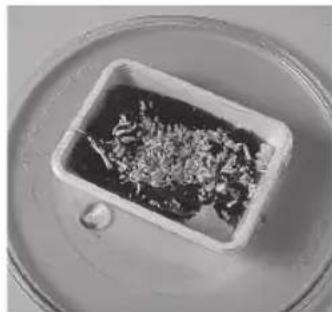 PANASONIC NN-SD261 - Repeat Frozen Meal 200g - 500g - 1