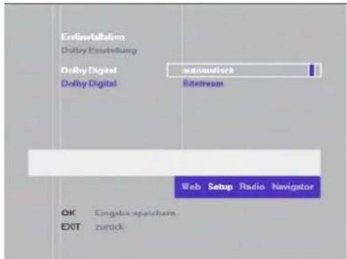 Erstmetallism Dolby Erstellung Dolby Digital Dolby Digital automatisch Internet Web Setup Radio Navigator OK Eingabe speichern EXT zurück