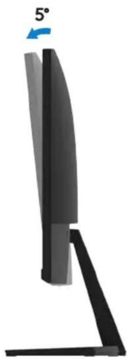 DELL S Series SE2219H - Using tilt - 2