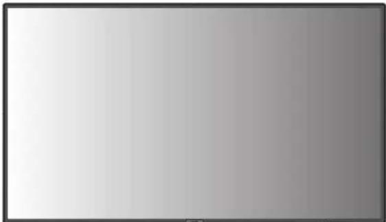 NEC MultiSync P404 MG - Reichweite der Fernbedienung - 1
