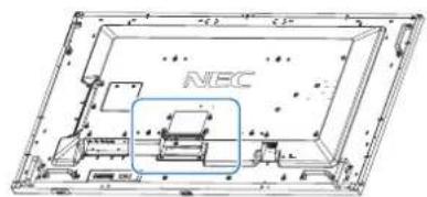 NEC