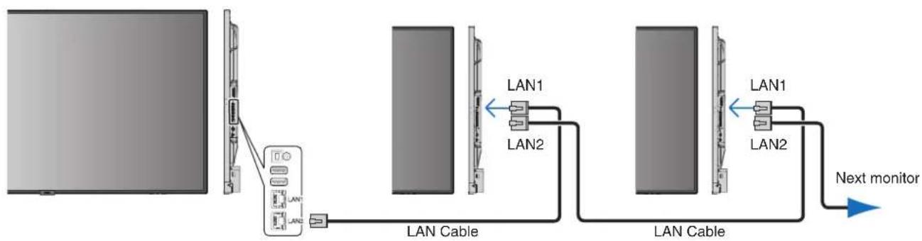 NEC MultiSync C751Q - Multiple Monitors Connection - 1