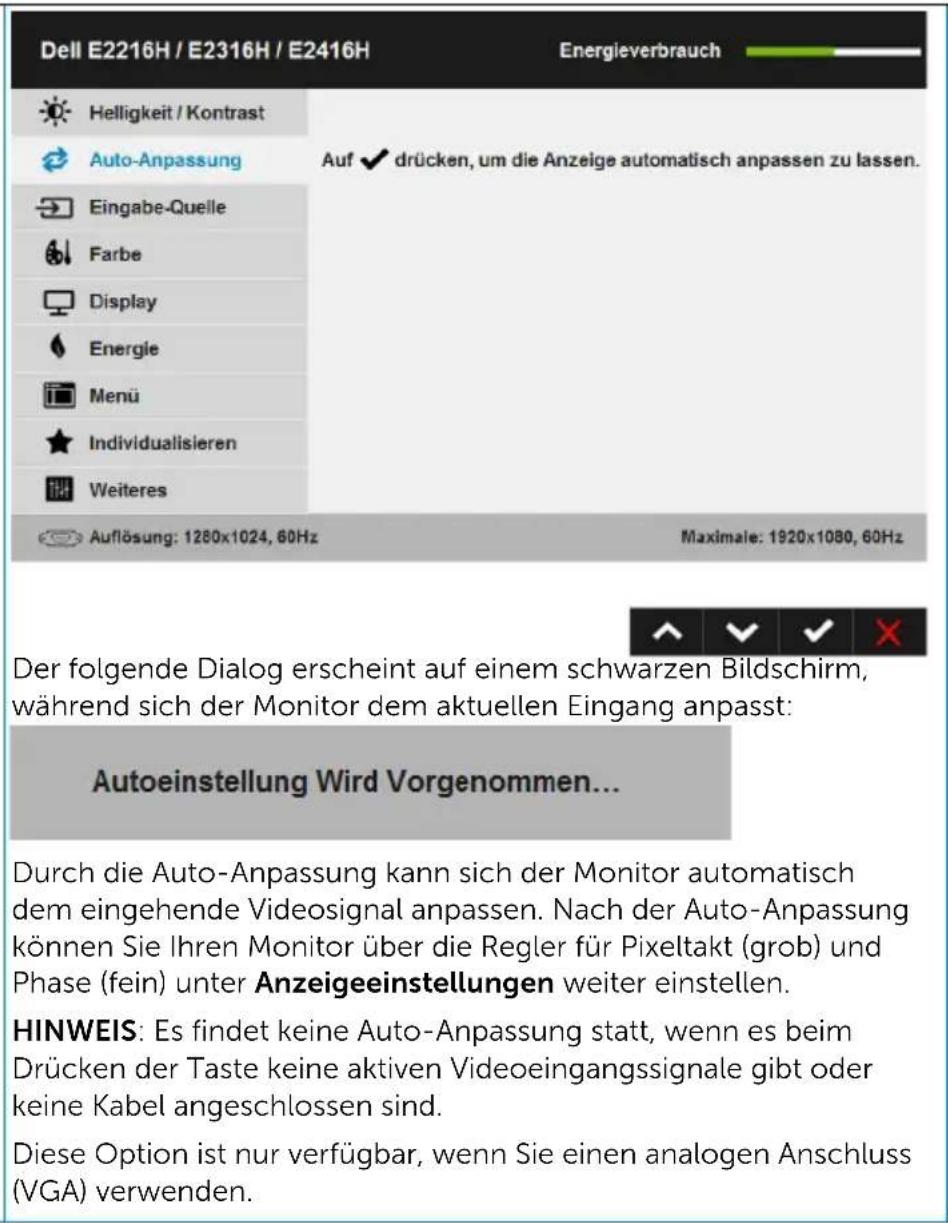 DELL E Series E1916H - Auto- Anpassung - 5