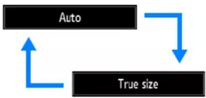 CANON XEED 4K500ST - Selecting an Aspect Ratio - 2