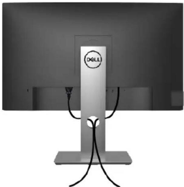 DELL P2719HC - Kabel organisieren - 1