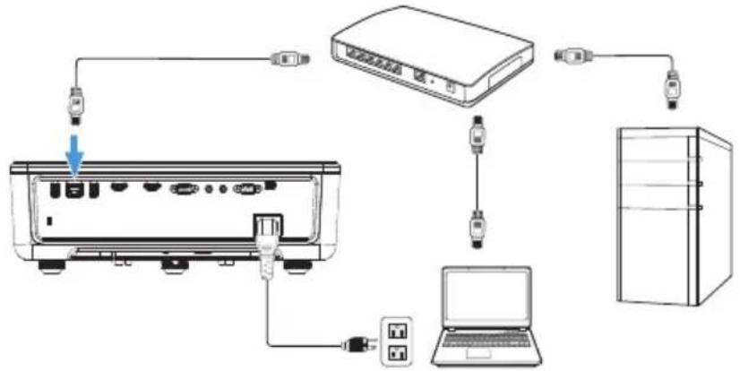 DELL P519HL - Direkte Kabelverbindung - 2
