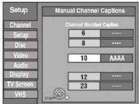 Setup Channel Setup Disc Video Audio Display TV Screen VHS Manual Channel Captions Channel Number Caption 6 **** 8 **** 10 AAAA 12 **** 23 **** Chanc