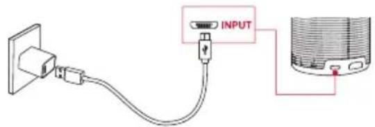 INPUT
