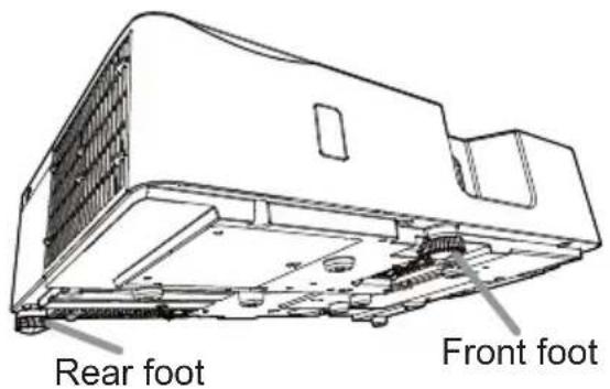 Rear foot Front foot
