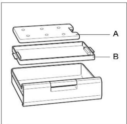 A B