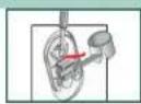 BOSCH WAS3279A - Transportsicherungen einbauen: - 2