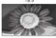 PANASONIC TH-D42PN73E - Bildseitenverhältnis - 4
