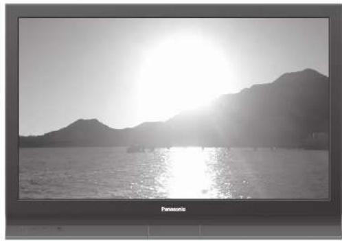 PANASONIC TH-D42PN73E - Panasonic® - 1