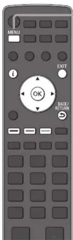 PANASONIC TX-P65VT30B - Setting for USB HDD / SD Card - 1