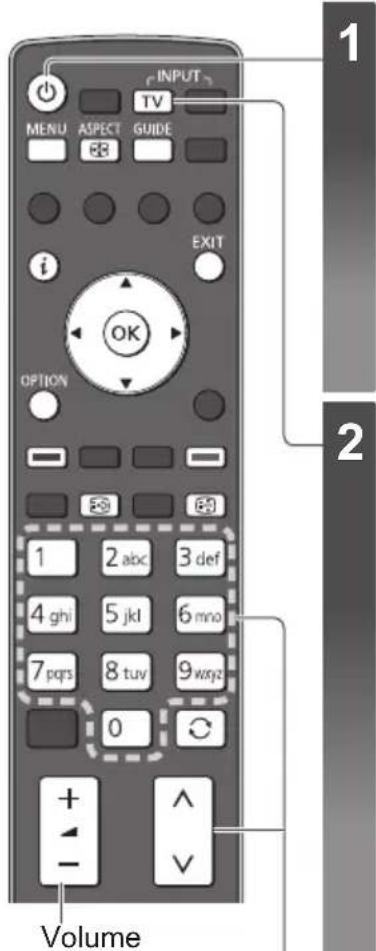PANASONIC TX-P65VT30B - Watching TV - 1