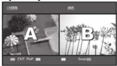 PANASONIC TX-P65VT30B - Picture-and-Picture mode [PandP] - 5