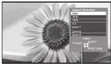 PANASONIC TX-P65VT30B - If you would like to change the aspect ratio manually - 2