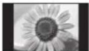 PANASONIC TX-P65VT30B - Do not display a still picture for a long time - 1
