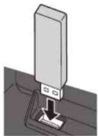 PANASONIC TX-P65VT30B - To insert or remove the SD Card / USB Flash Memory - 1