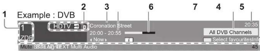 PANASONIC TX-P65VT30B - Display Information banner - 2