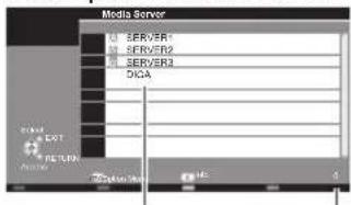 PANASONIC TX-P65VT30B - Select one of the media servers you want to access - 1