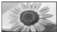 PANASONIC TX-P65VT30B - If you would like to change the aspect ratio manually - 6