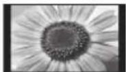 PANASONIC TX-P65VT30B - If you would like to change the aspect ratio manually - 8