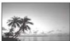 PANASONIC TH-65PF11EK - Transparente Anzeige des Unterbilds (bei Verwendung von „Mix-PIP“) - 4
