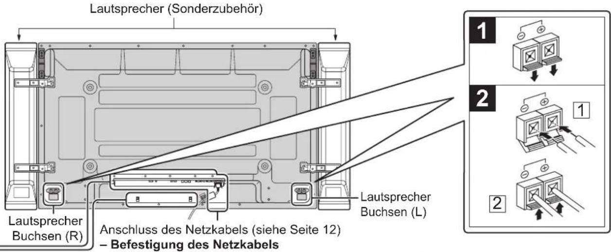 PANASONIC TH-65PF11EK - Anschlüsse - 1
