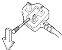 PANASONIC TH-58PH10BK - IMPORTANT: THE MOULDED PLUG - 1