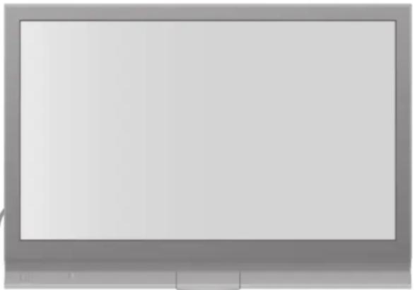 PANASONIC TH-50PV71FA - Handhabung von Netzstecker und Netzkabel - 1