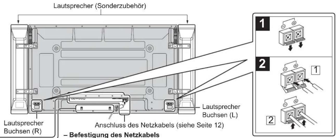 PANASONIC TH-50PH12EK - Anschlüsse - 1