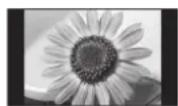 PANASONIC TH-42PX80BA - Do not display a still picture for a long time - 1