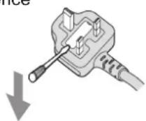 PANASONIC TH-42PX80BA - IMPORTANT: THE MOULDED MAINS PLUG - 1