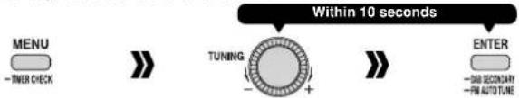 PANASONIC RF-D7 - DAB Preparatory steps (Other functions) - 1
