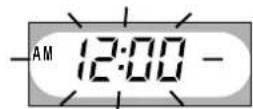 PANASONIC RC-CD300 - Setting the time - 2