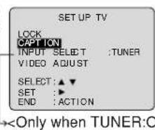 PANASONIC AG-520 - Caption On Mute Feature - 4
