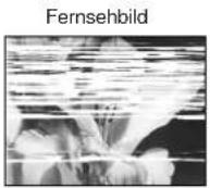 PANASONIC NV-SJ410AR - Wenn das Bild verrauscht und nicht klar zu sehen ist (Spurlageregelung): - 1