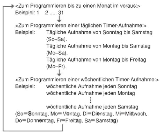 PANASONIC NV-SJ410AR - Einstellung des Aufnahmedatums/-tages - 1