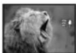 PANASONIC NV-MD10000 - Wind noise reduction function - 1