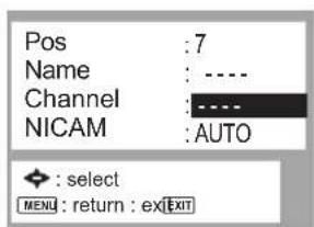 PANASONIC NV-HV60EBL - Manual setup - 2