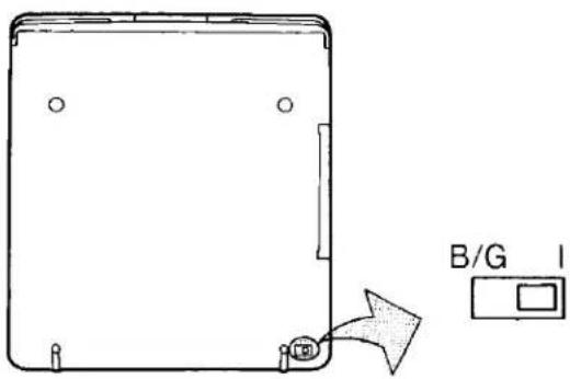 B/G I