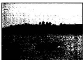 Schwarz-Weiß-Landschaftsfoto mit silhouettierter Baumlinie über Wasser (kein Text oder Symbole)